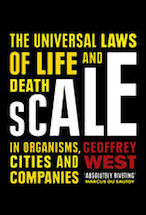Scale cover