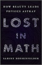 Lost In Math book cover